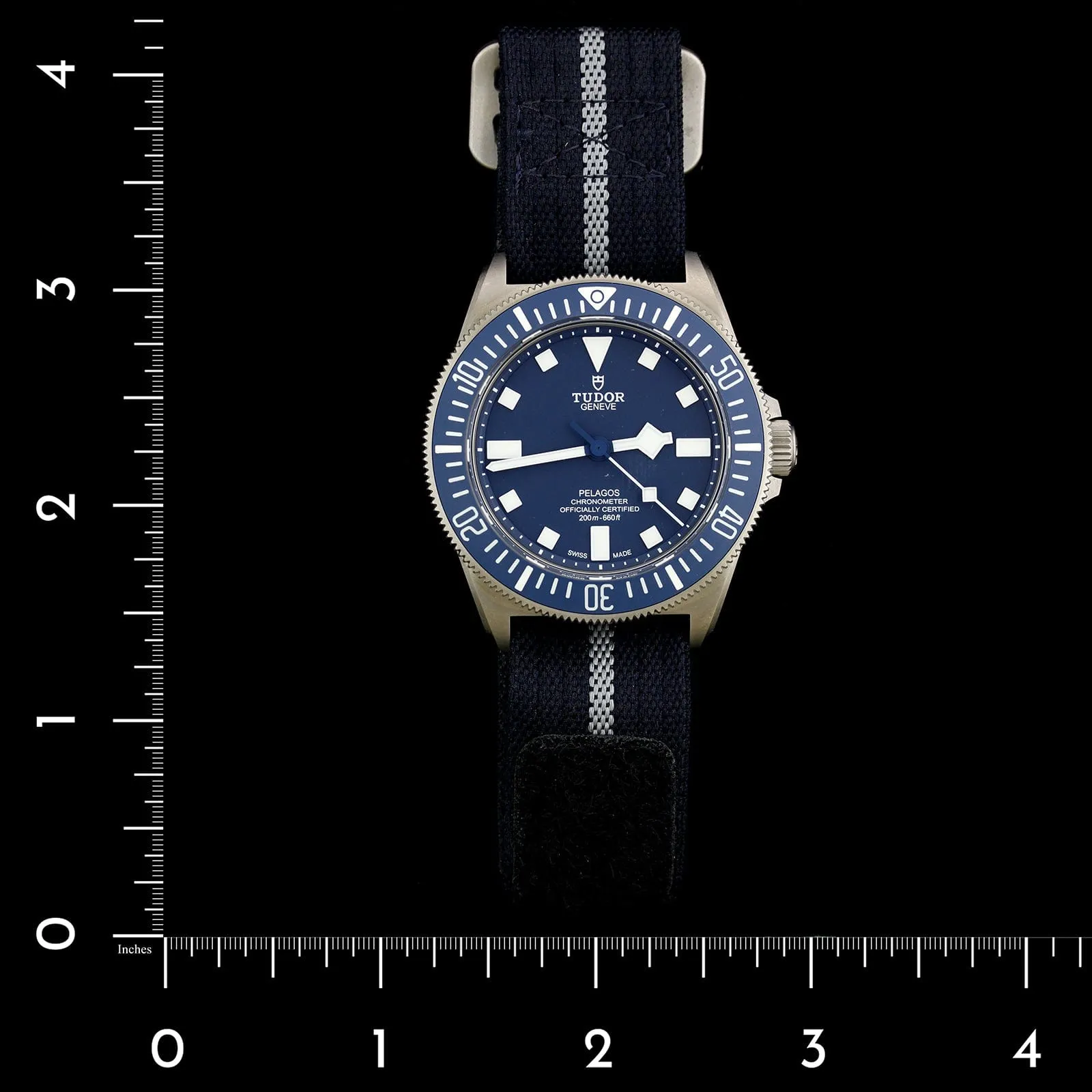 Titanium Estate TUDOR Pelagos FXD Watch